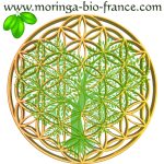 Organic Products