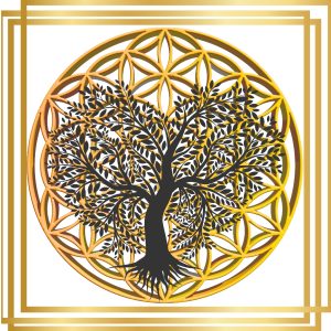 New Logo moringa_20251023_112810_0000